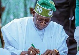 President Tinubu extends raw shea nuts export ban to 2027