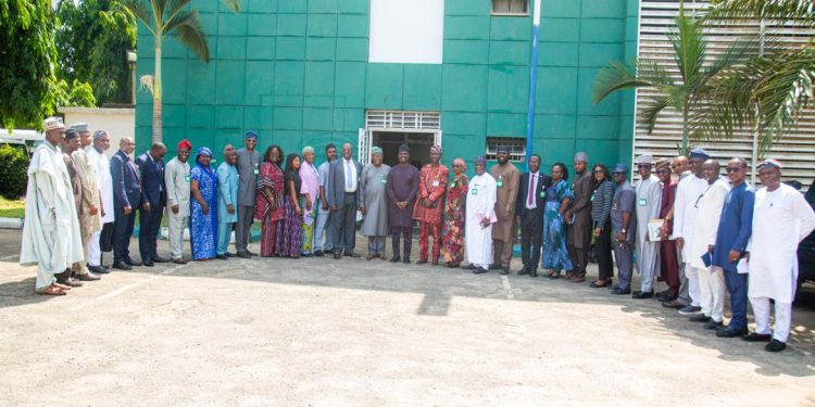 Orange economy spotlight: NTDA engages NIPSS on sustainable growth