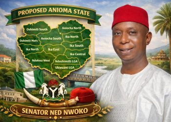 Abala Ugada community in FCT hails Nwoko’s demand for Anioma state creation