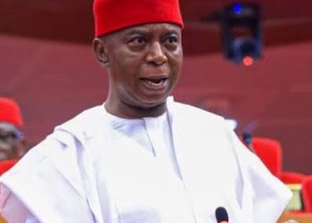 Ned Nwoko’s legislative push: From reparations to security and economic reform