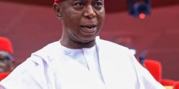 Ned Nwoko’s legislative push: From reparations to security and economic reform