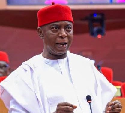 Ned Nwoko’s legislative push: From reparations to security and economic reform