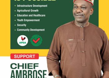 Egwuonwu signals new chapter for Orumba North and South