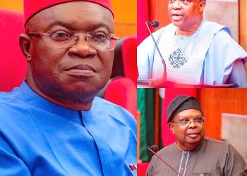 Ministerial Screening: Sen. Nwachukwu raises power, diaspora concerns