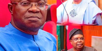 Ministerial Screening: Sen. Nwachukwu raises power, diaspora concerns
