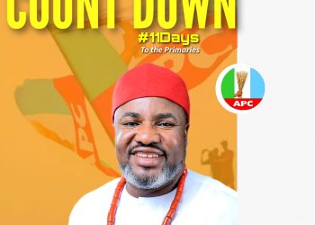 Ministerial Screening: Sen. Nwachukwu raises power, diaspora concerns