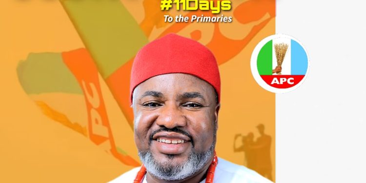 Ministerial Screening: Sen. Nwachukwu raises power, diaspora concerns