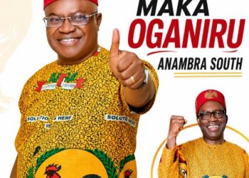 Ministerial Screening: Sen. Nwachukwu raises power, diaspora concerns