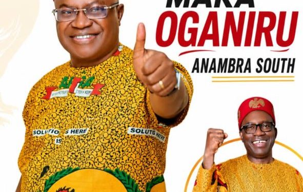 Ministerial Screening: Sen. Nwachukwu raises power, diaspora concerns