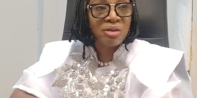 Ikenne/Sagamu/Remo North Rep Ayoola-Egbeji seeks return to House, cites constituency gains
