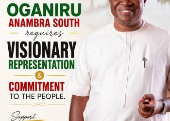 Anambra South backers push Sen. Nwachukwu continuity bid for 2027