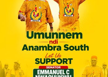 Reselect Sen Nwachukwu, APGA supporters urges Anambra South