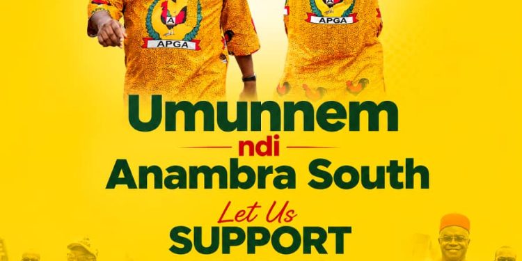 Reselect Sen Nwachukwu, APGA supporters urges Anambra South