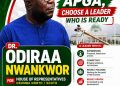 Odiraa Nwankwor: The physician cum politician aiming to reshape Orumba North/South representation