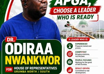 Odiraa Nwankwor: The physician cum politician aiming to reshape Orumba North/South representation