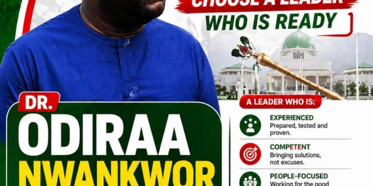 Odiraa Nwankwor: The physician cum politician aiming to reshape Orumba North/South representation