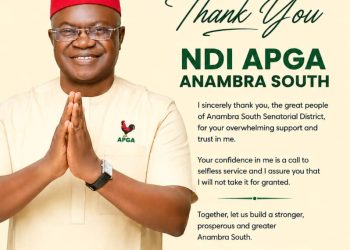 Anambra South: Nwachukwu thanks constituents after APGA victory, calls for unity