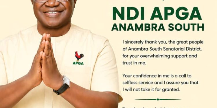 Anambra South: Nwachukwu thanks constituents after APGA victory, calls for unity