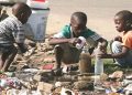 Periscope: Northern Senators sound alarm over Borno cholera, push for emergency response