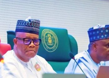Nullification of NASS N110bn vehicles, allowances deal by court, a critical perusal