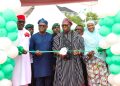 Wike’s construction blitz:, a critical look at Tinubu’s commissioning spree in the FCT