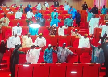 Senate’s passage of state police, a constitutional shift Nigeria has debated for decades