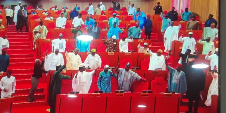 Senate’s passage of state police, a constitutional shift Nigeria has debated for decades