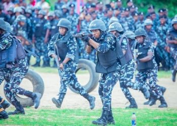 State Police in Nigeria: Weighing security gains against risks of abuse, a critical analysis