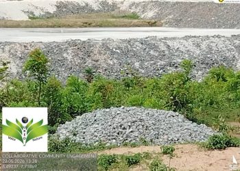 From Dig-and-Ship to Deve’t: Can AFNIS 2026 change Africa’s mineral story?
