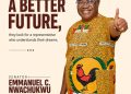 Nwachukwu: Is he the expected messiah in Anambra South?