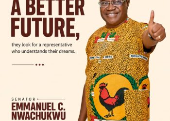 Nwachukwu: Is he the expected messiah in Anambra South?