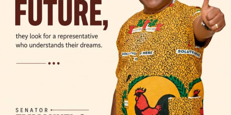 Nwachukwu: Is he the expected messiah in Anambra South?
