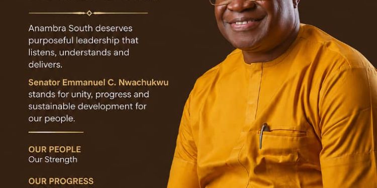 Senator Nwachukwu prays for favour, unity and progress for Anambra South in July