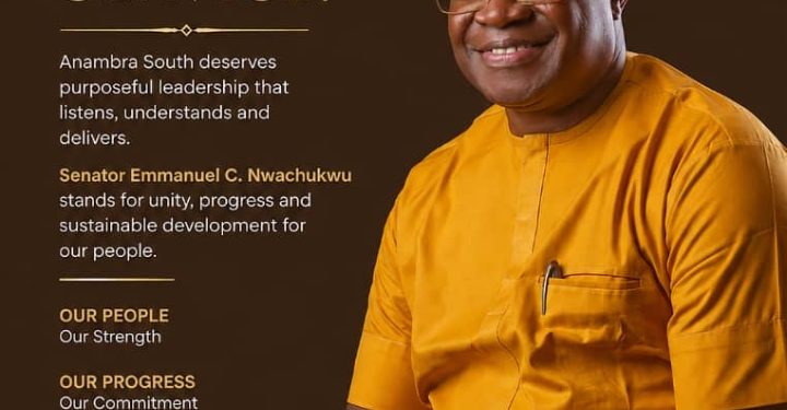 Onodugo delivers, with early results for Anambra South 