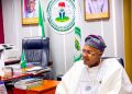 Onanuga’s Disclaimer: Presidency’
