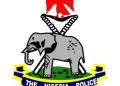 A critical look at State Police in Nigeria, guardrails vs ground realities