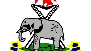 A critical look at State Police in Nigeria, guardrails vs ground realities 
