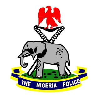 A critical look at State Police in Nigeria, guardrails vs ground realities