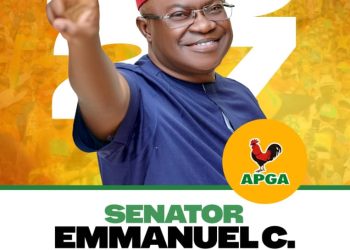 Maka Oganiru Anambra South: Senator Emmanuel Nwachukwu and the promise of accelerated growth