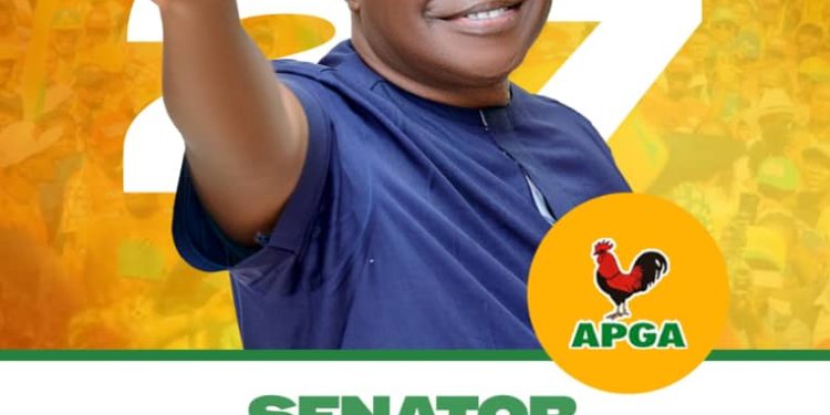 Maka Oganiru Anambra South: Senator Emmanuel Nwachukwu and the promise of accelerated growth
