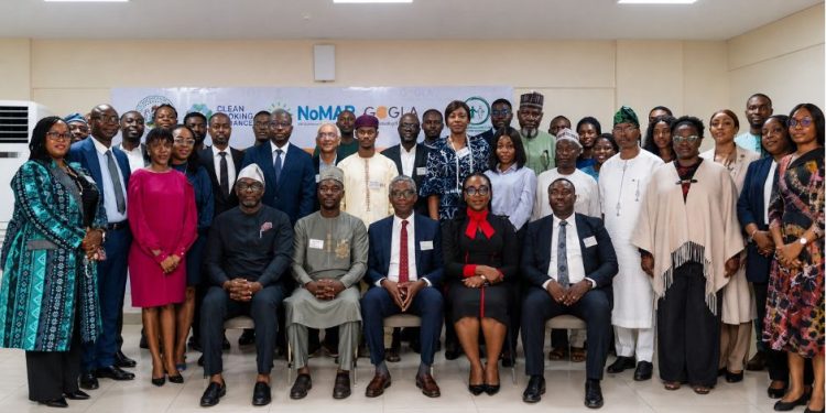 A critical look at the FG’s betting on local money to drive carbon market