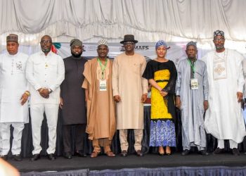 Can FG’s new cashew roadmap turn raw exports into real wealth? 
