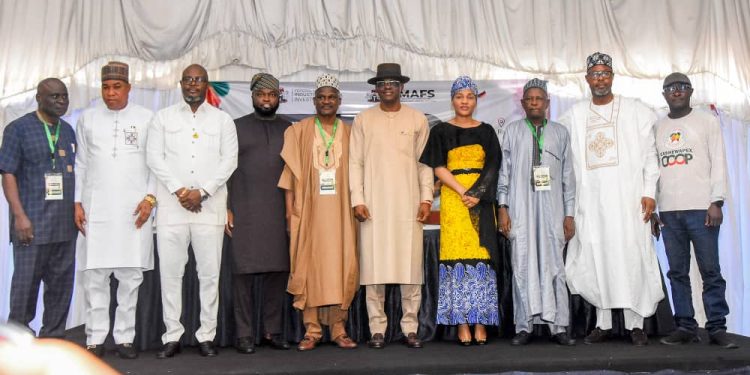 Can FG’s new cashew roadmap turn raw exports into real wealth?