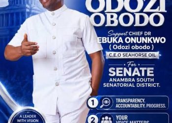 Anambra South 2027: Why Onunkwo says NDC will be different if elected