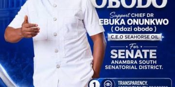 Anambra South 2027: Why Onunkwo says NDC will be different if elected