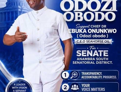 Anambra South 2027: Why Onunkwo says NDC will be different if elected