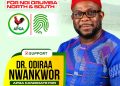 Endorsement wave for Dr. Odiraa Nwankwor in Orumba North/South, an assessment