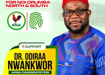 Endorsement wave for Dr. Odiraa Nwankwor in Orumba North/South, an assessment