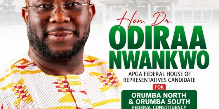 A Look at Nwankwor’s Political Promises: Can service record translate to legislative impact?