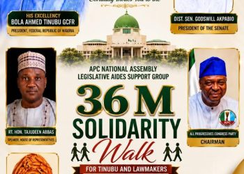 Critical assessment of ANALAG’s launch and legislative aides’ backing of the Renewed Hope Agenda